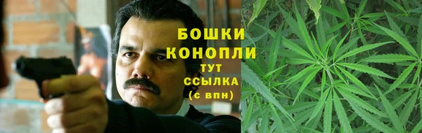 эйфоретик Гусев