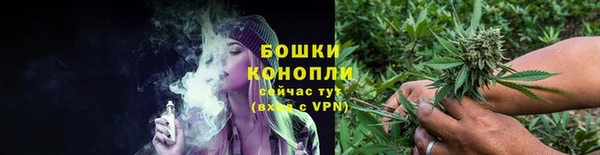 эйфоретик Гусев