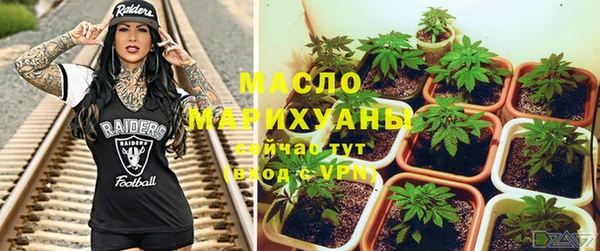 метадон Гусь-Хрустальный