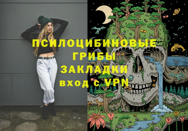 эйфоретик Гусев