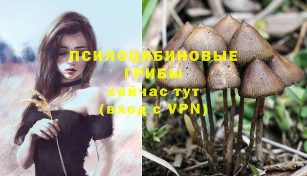 марки lsd Гусиноозёрск
