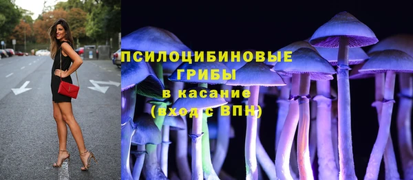 метадон Гусь-Хрустальный