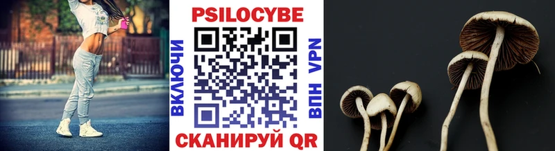 Псилоцибиновые грибы GOLDEN TEACHER Обоянь